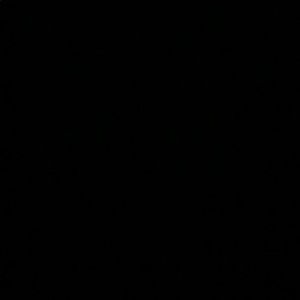 Meet your Posher, Sana